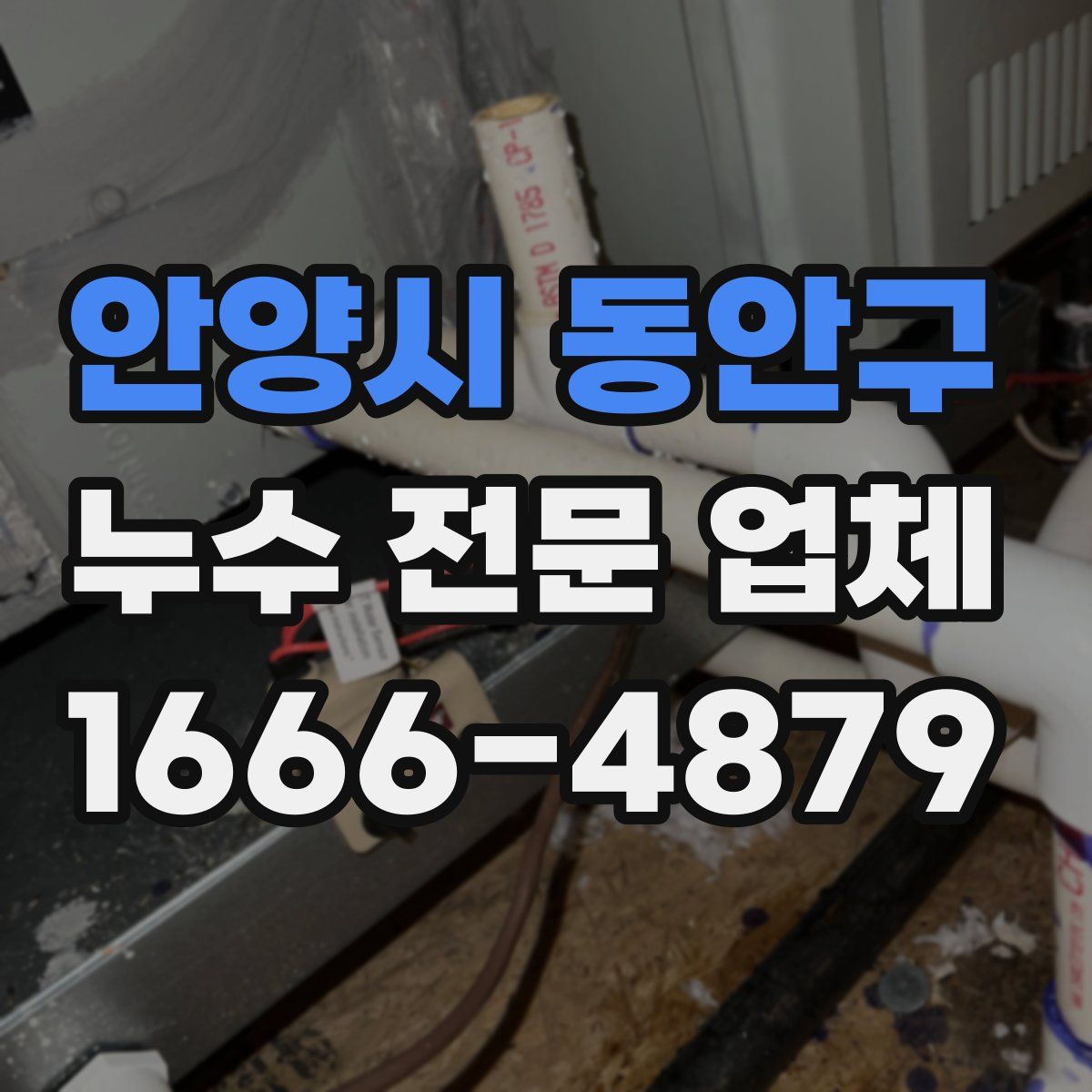 안양시 동안구 누수 전문 업체