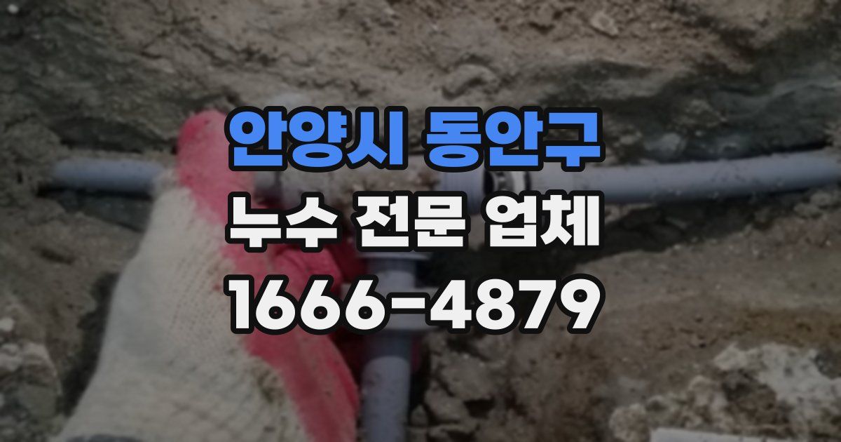 안양시 동안구 누수 전문 업체