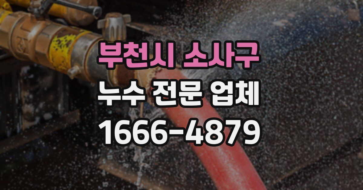 부천시 소사구 누수 전문 업체