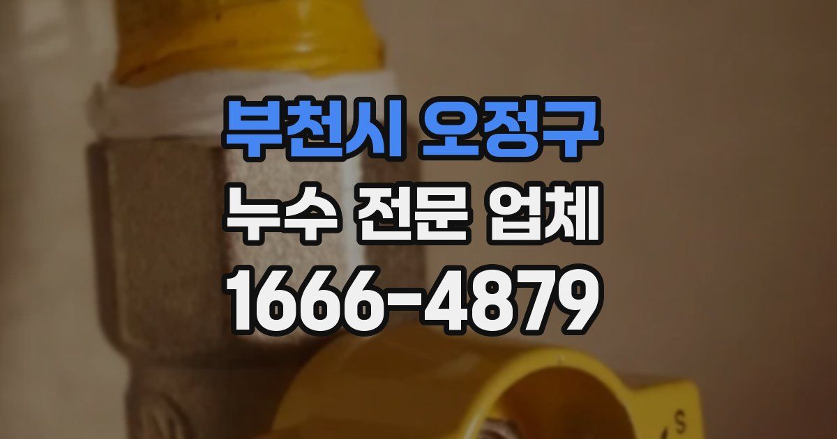 부천시 오정구 누수 전문 업체