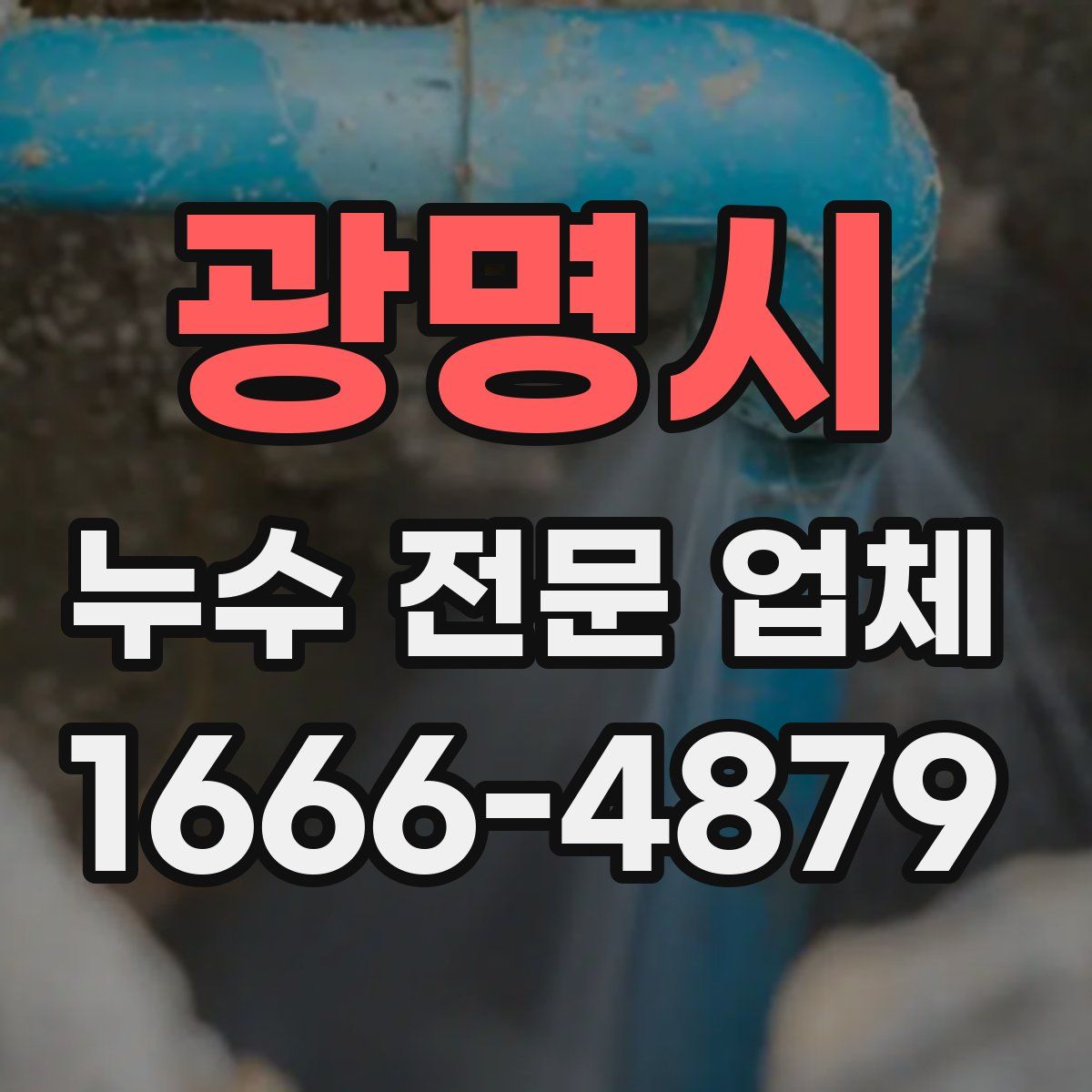 광명시 누수 전문 업체