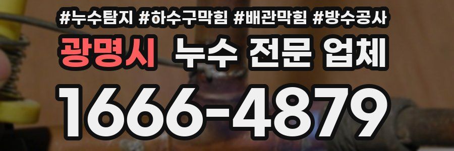 광명시 누수 전문 업체