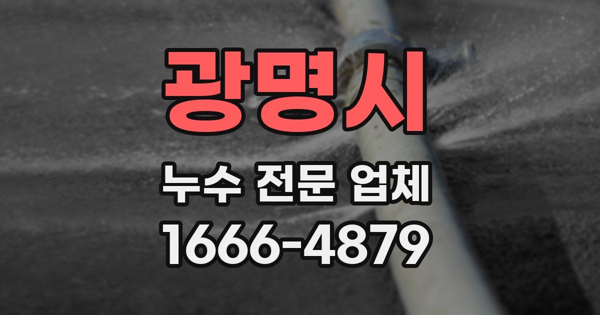 광명시 누수 전문 업체
