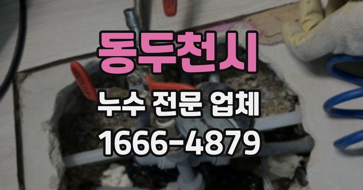 동두천시 누수 전문 업체