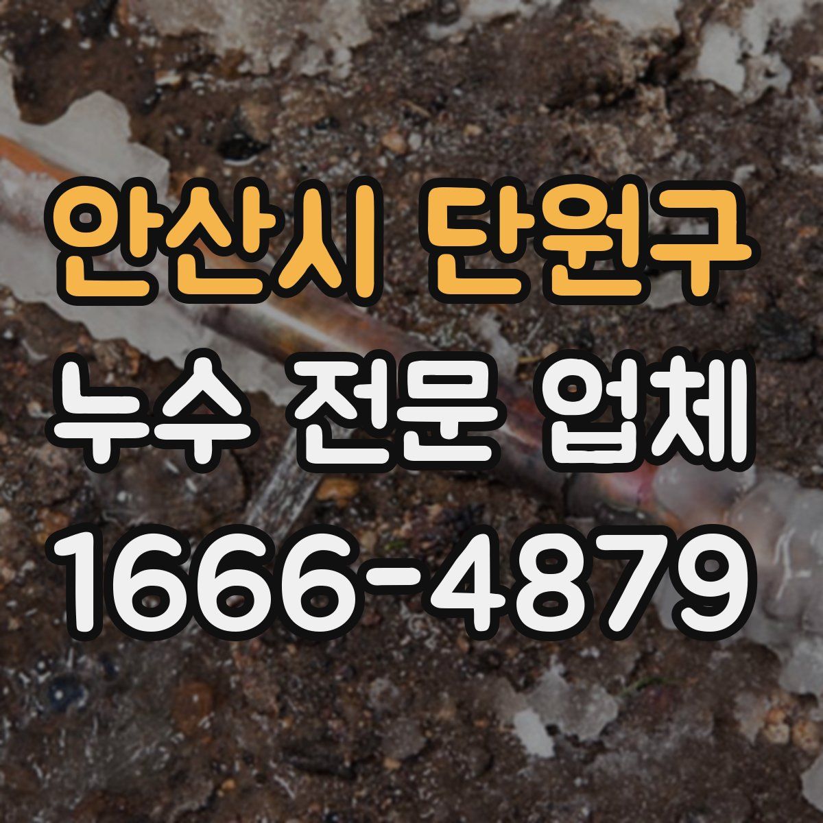 안산시 단원구 누수 전문 업체
