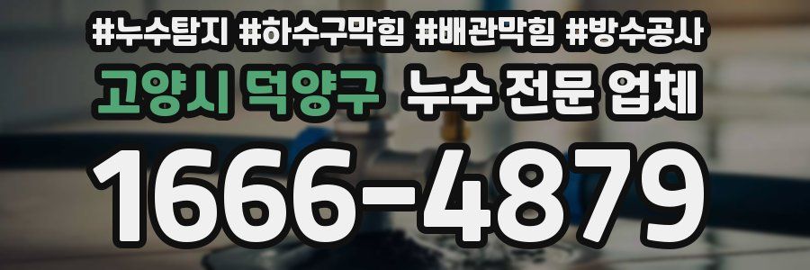 고양시 덕양구 누수 전문 업체