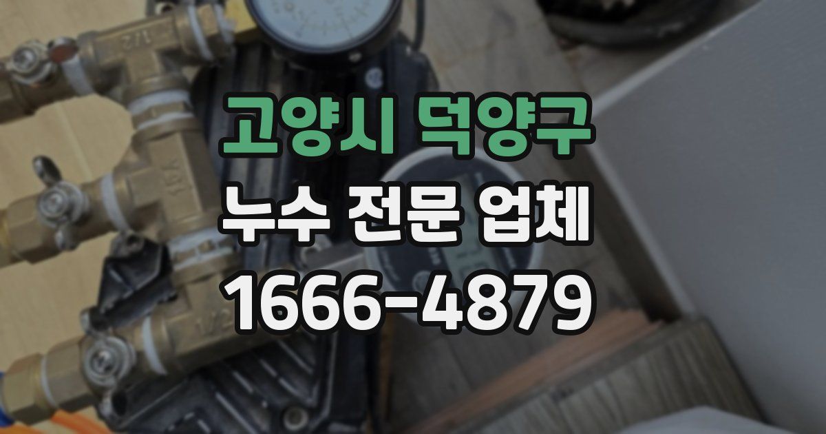 고양시 덕양구 누수 전문 업체