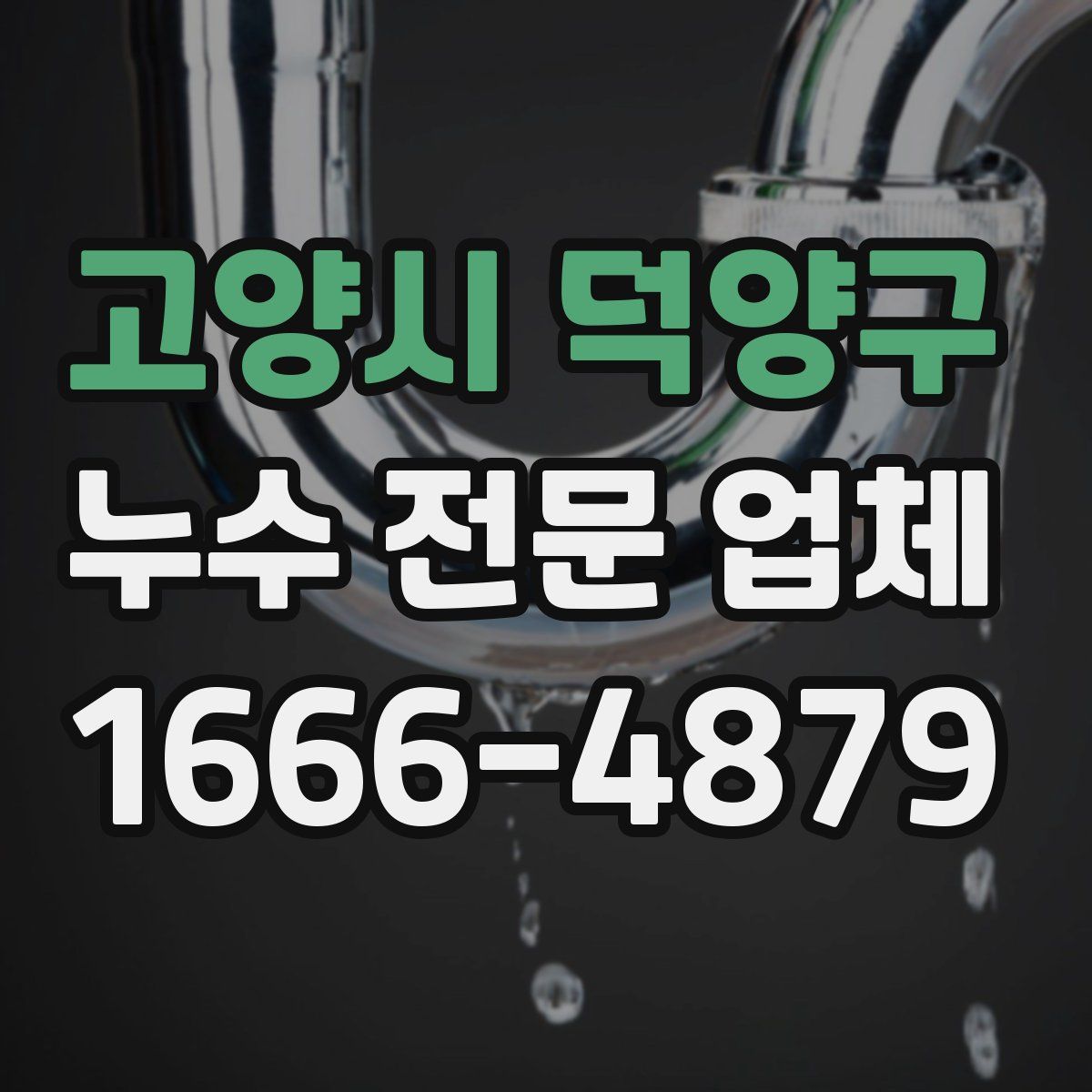 고양시 덕양구 누수 전문 업체