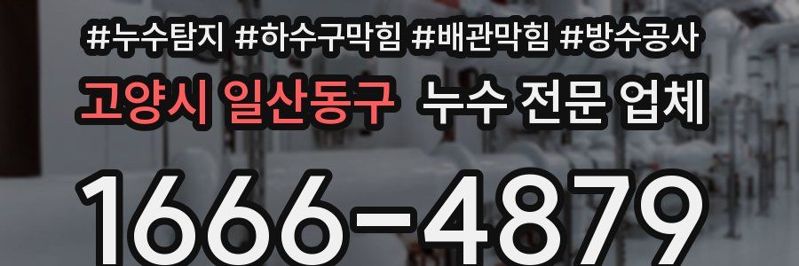 고양시 일산동구 누수 전문 업체