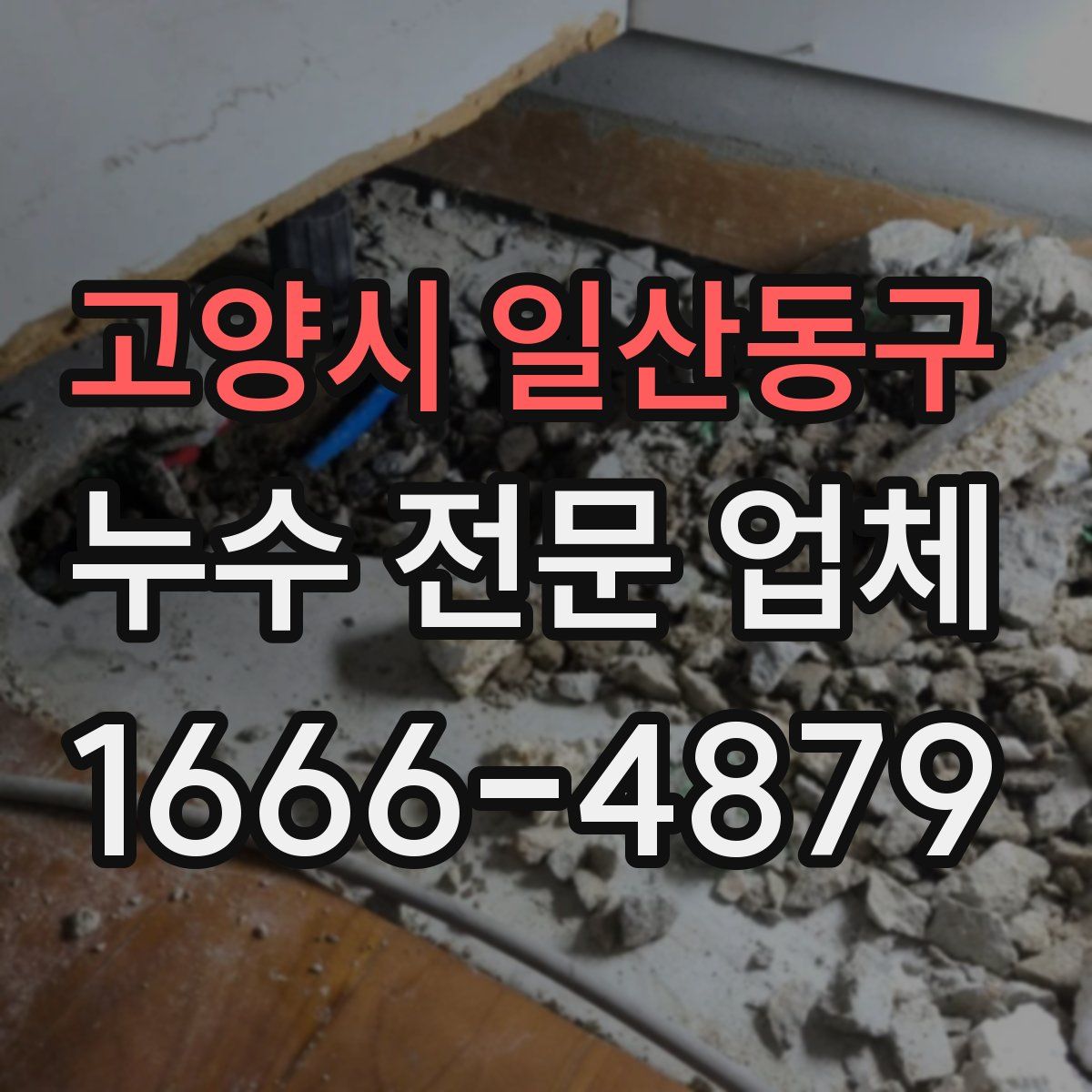 고양시 일산동구 누수 전문 업체