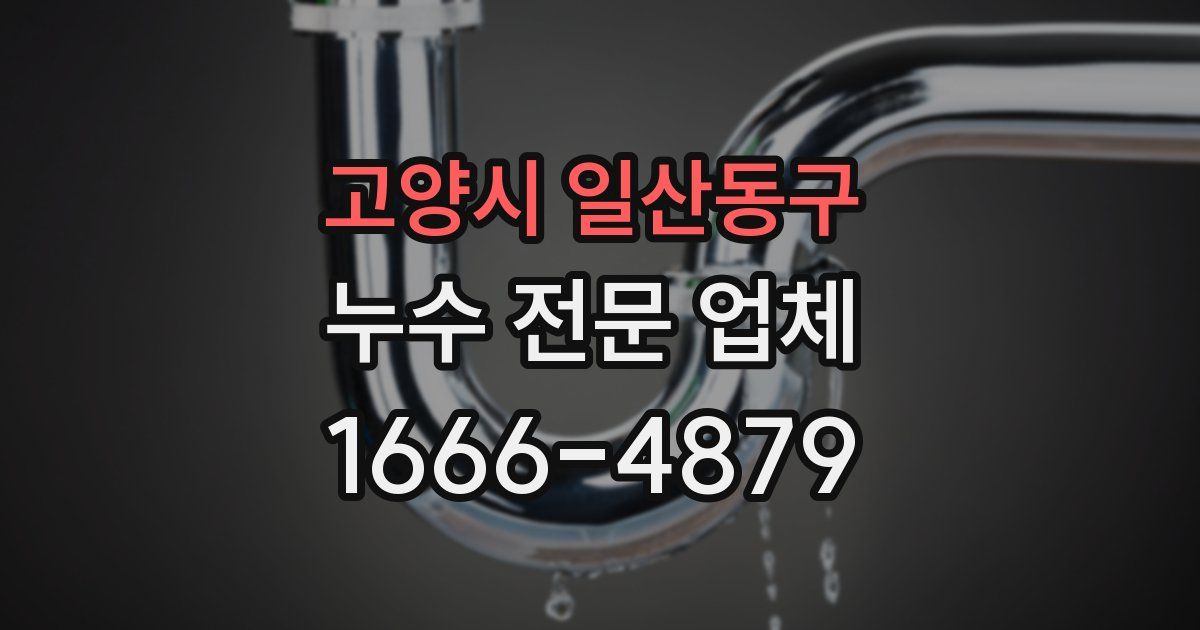 고양시 일산동구 누수 전문 업체