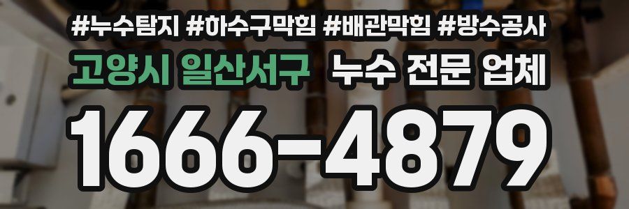 고양시 일산서구 누수 전문 업체