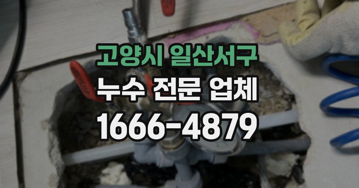 고양시 일산서구 누수 전문 업체