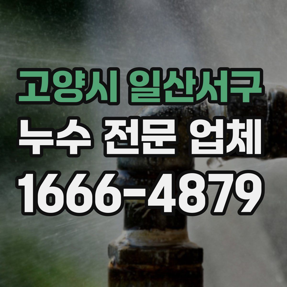 고양시 일산서구 누수 전문 업체