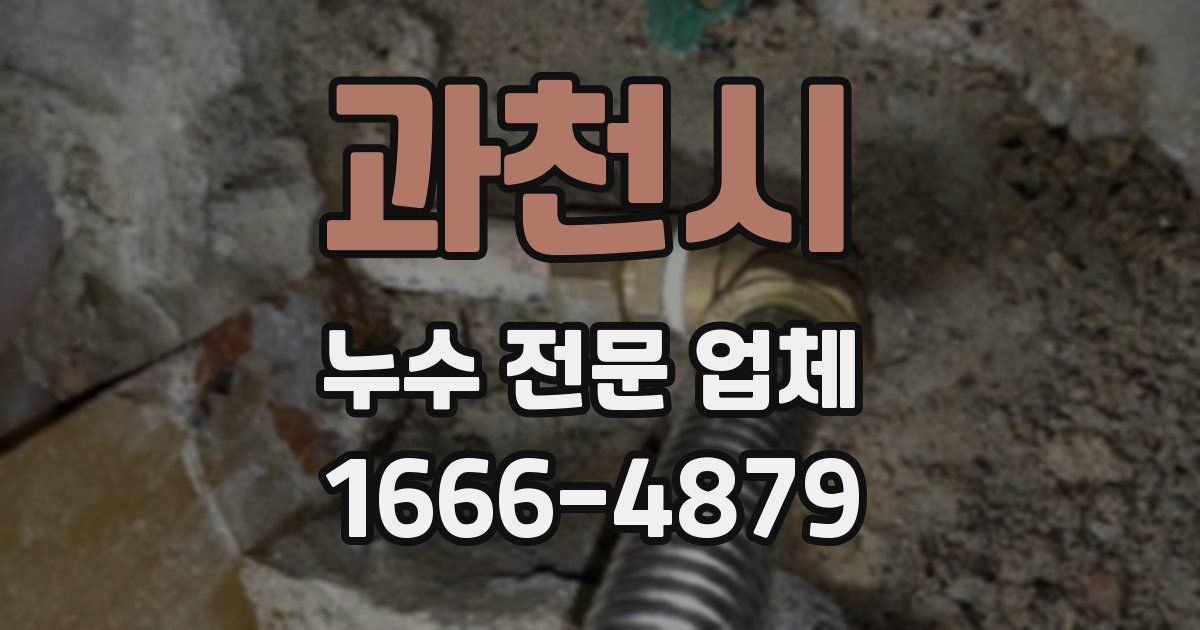 과천시 누수 전문 업체