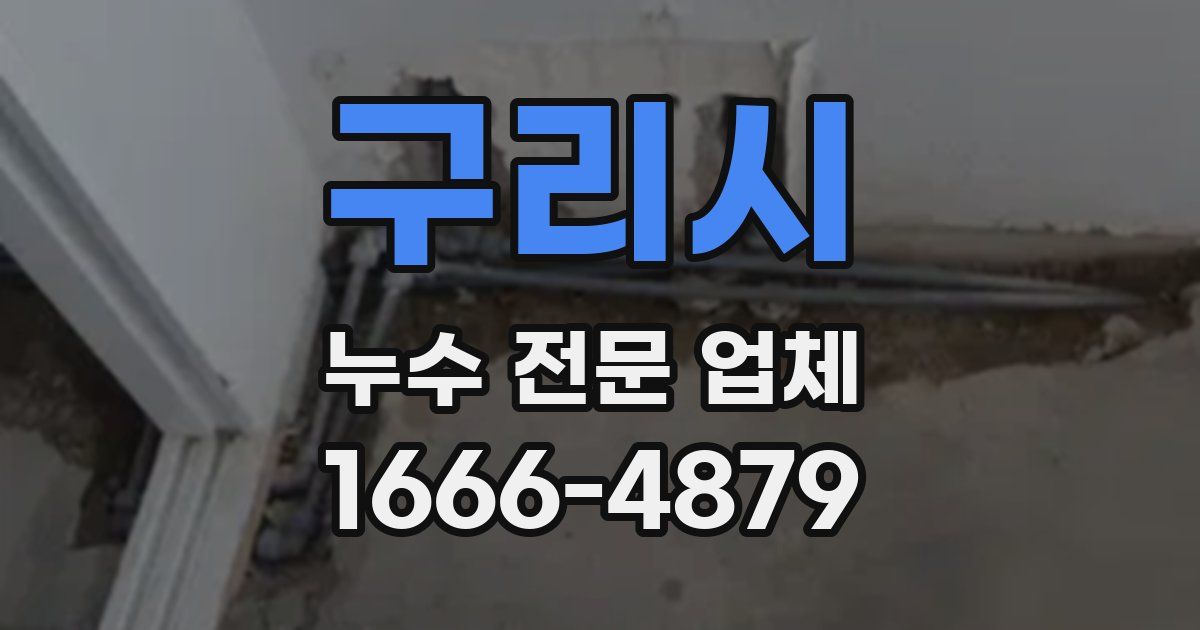 구리시 누수 전문 업체