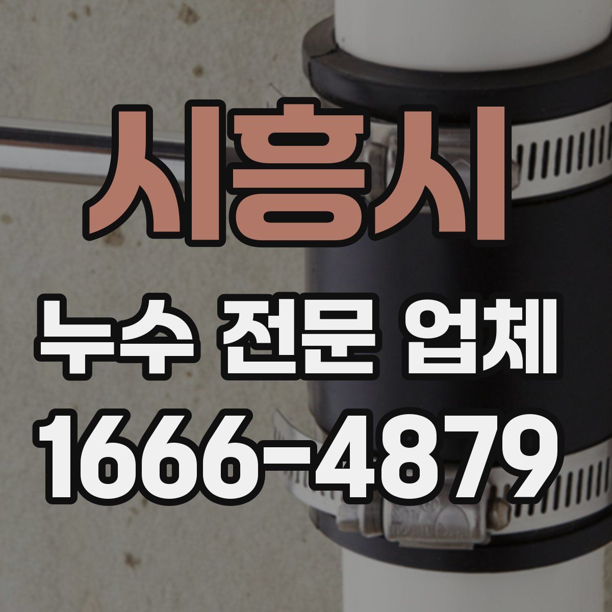 시흥시 누수 전문 업체