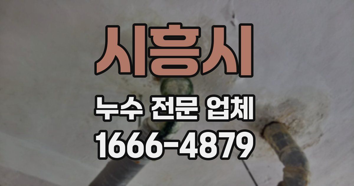 시흥시 누수 전문 업체