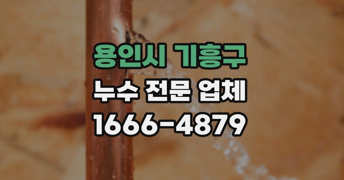 용인시 기흥구 누수 전문 업체