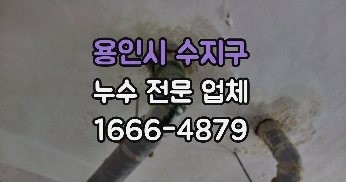 용인시 수지구 누수 전문 업체