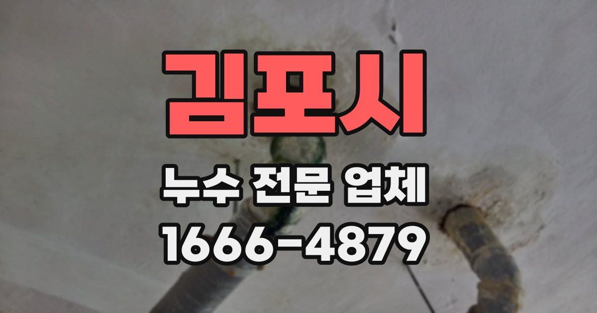 김포시 누수 전문 업체