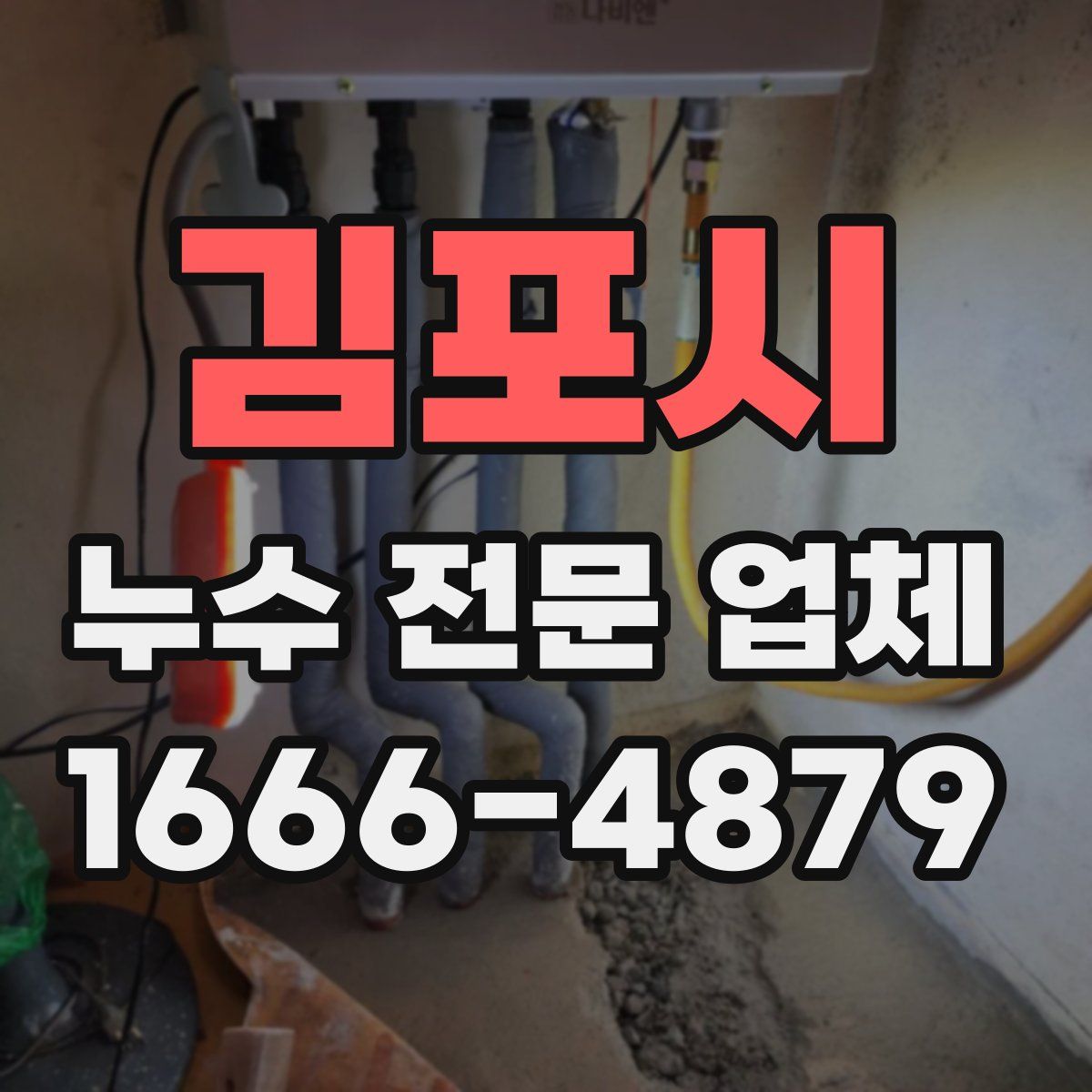 김포시 누수 전문 업체