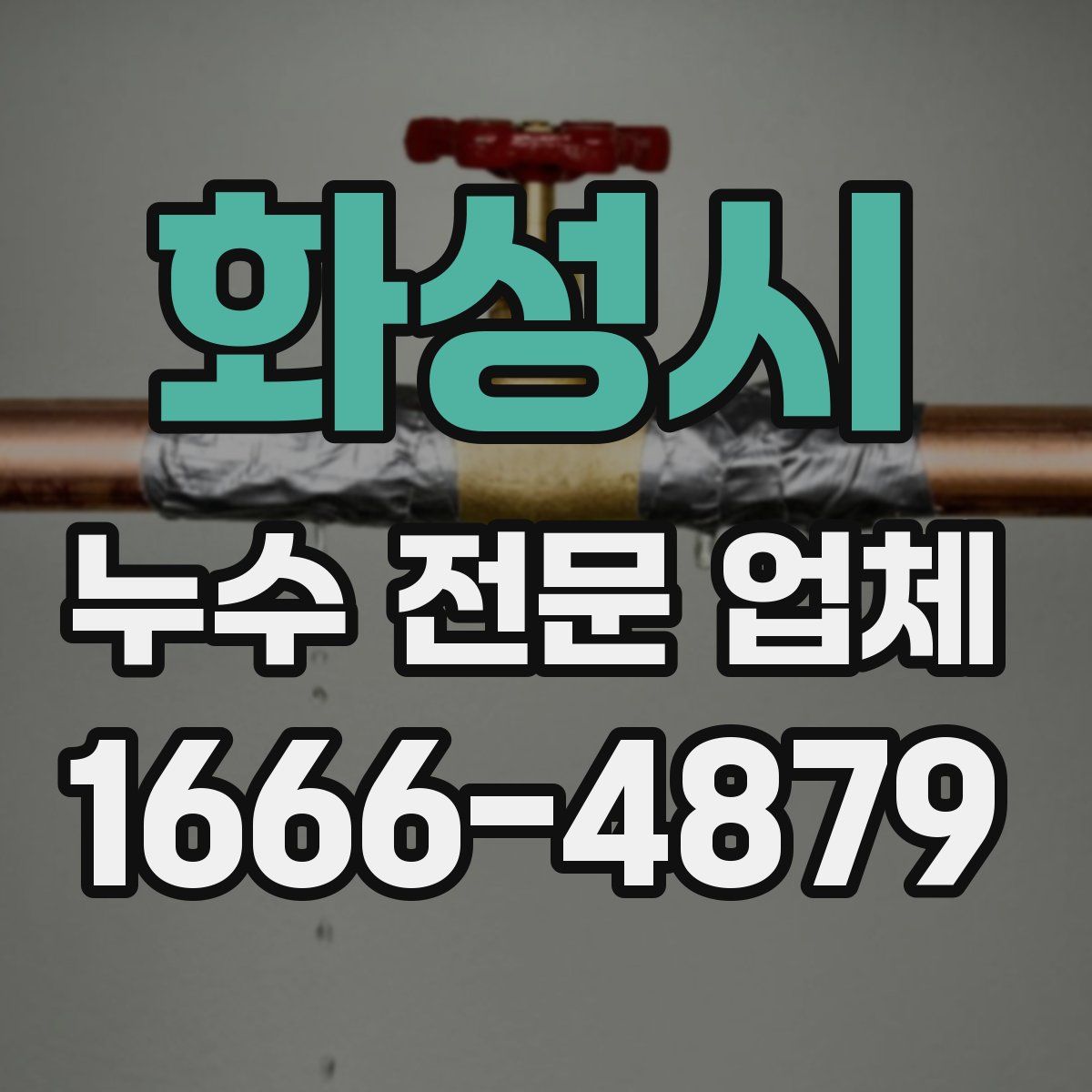 화성시 누수 전문 업체