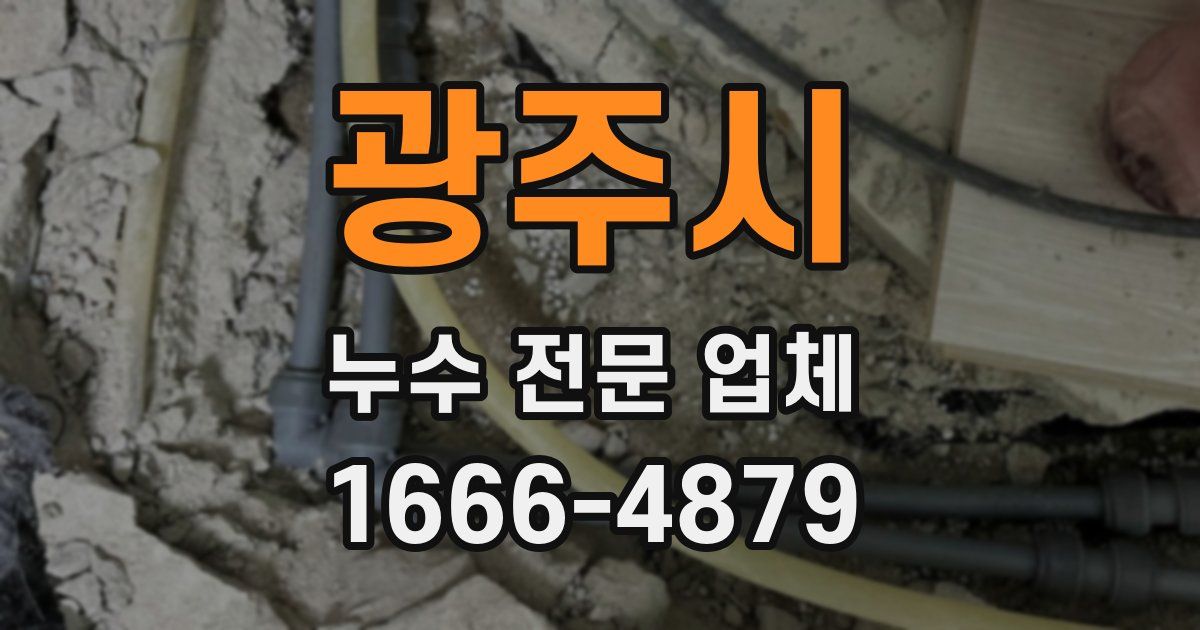 광주시 누수 전문 업체