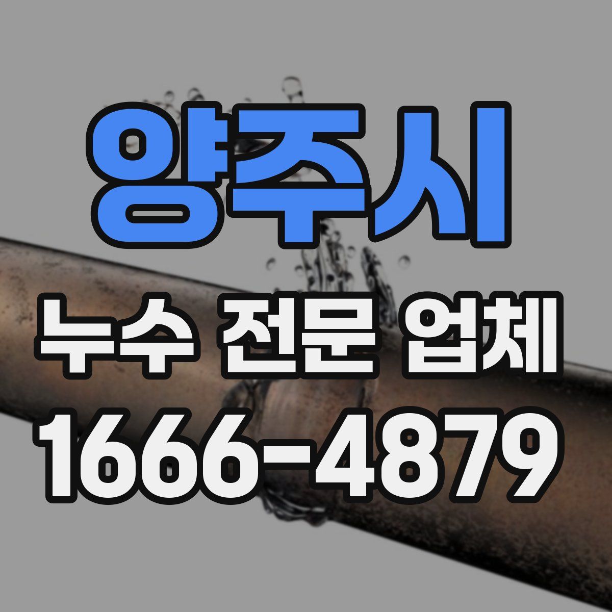 양주시 누수 전문 업체