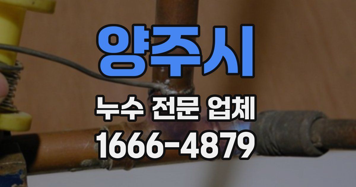 양주시 누수 전문 업체