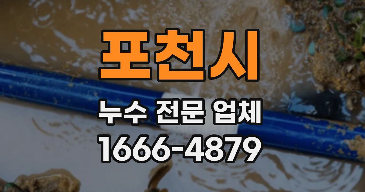 포천시 누수 전문 업체