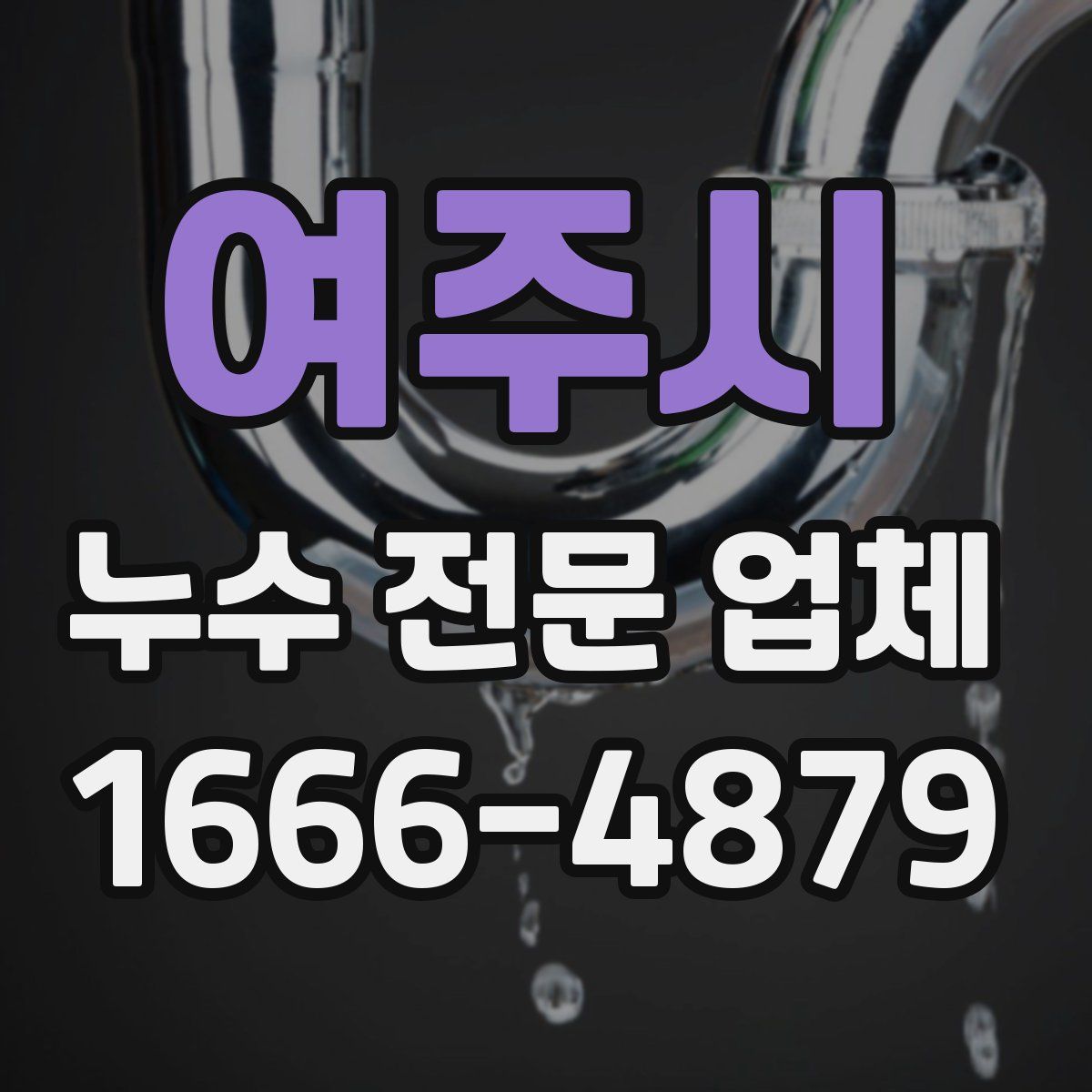 여주시 누수 전문 업체