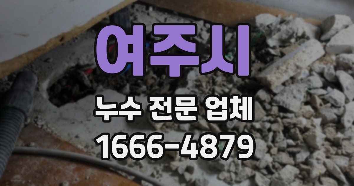 여주시 누수 전문 업체