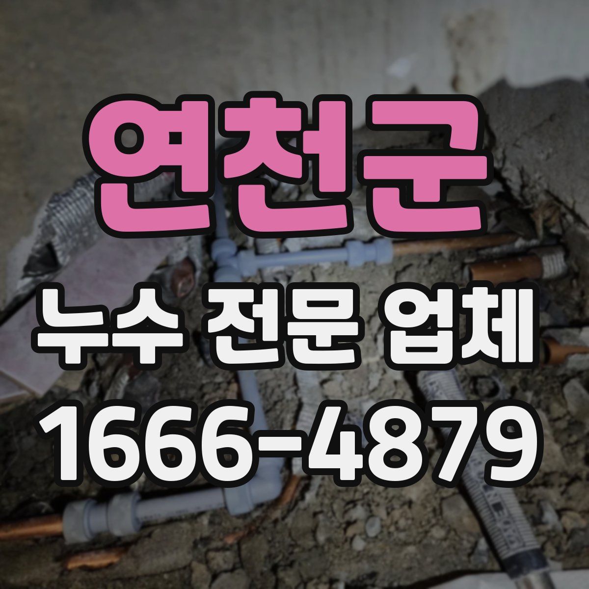 연천군 누수 전문 업체