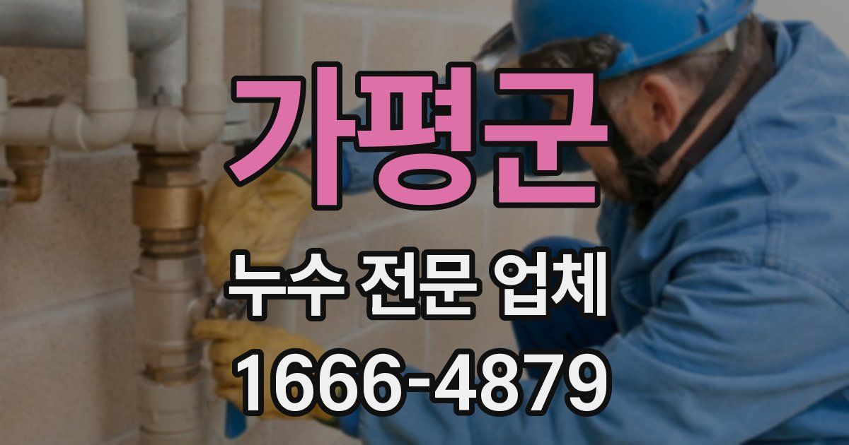 가평군 누수 전문 업체