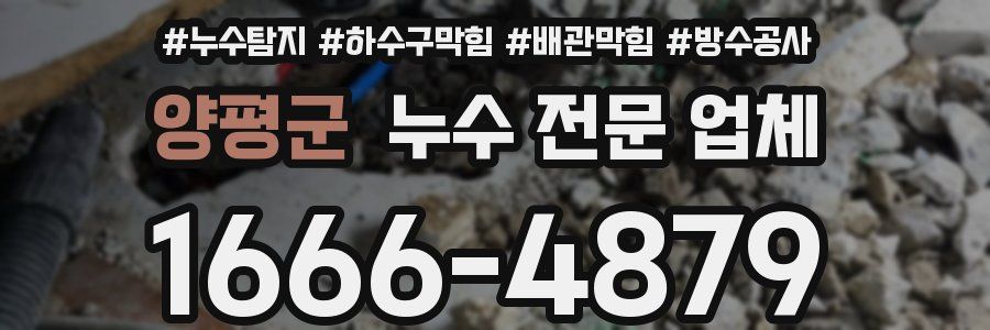 양평군 누수 전문 업체
