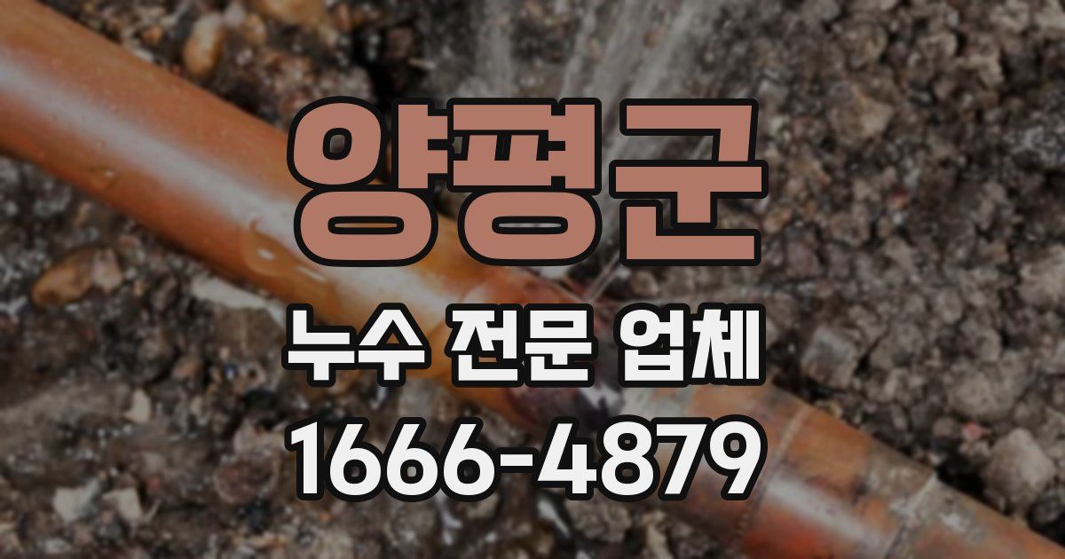 양평군 누수 전문 업체