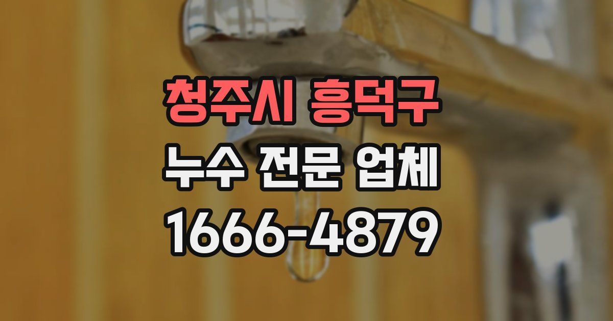 청주시 흥덕구 누수 전문 업체