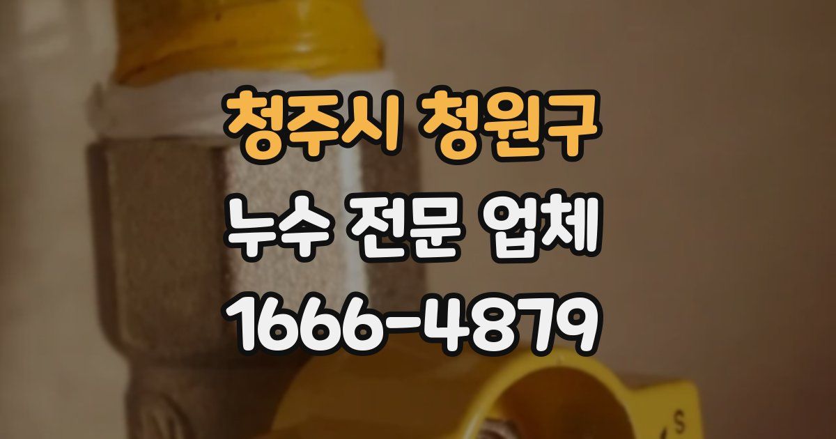 청주시 청원구 누수 전문 업체