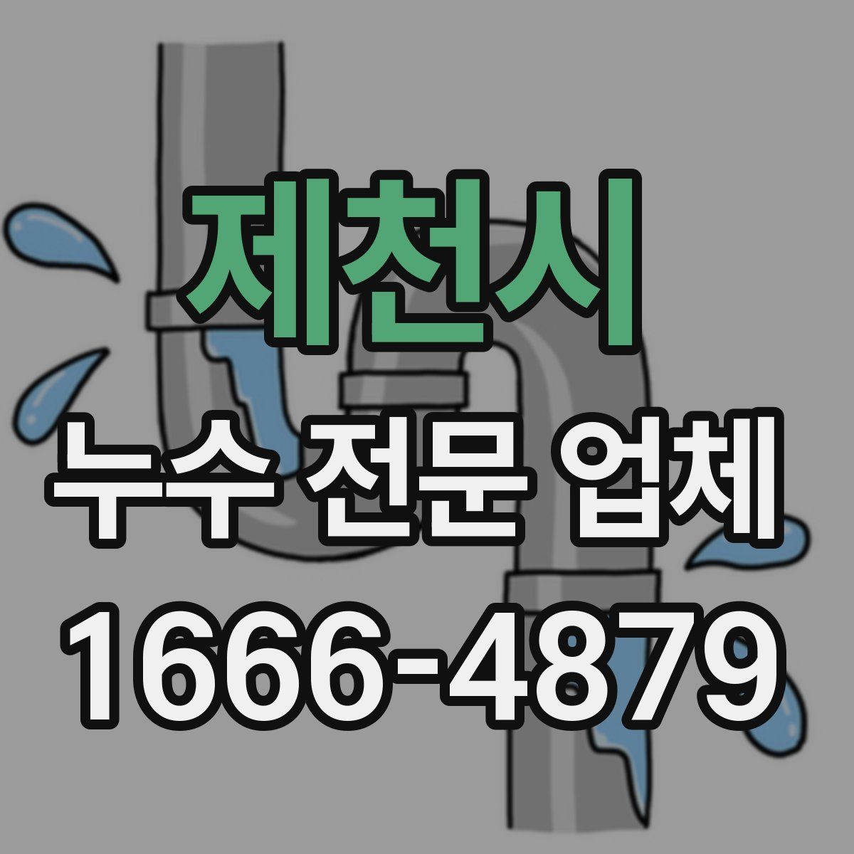 제천시 누수 전문 업체