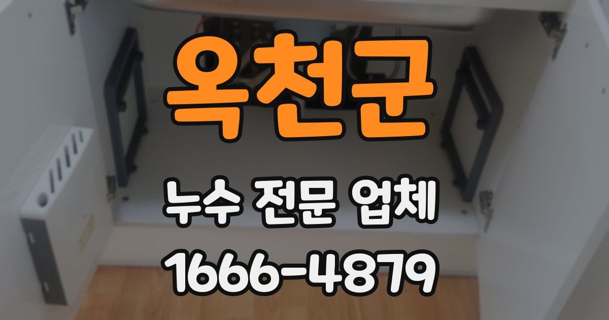 옥천군 누수 전문 업체
