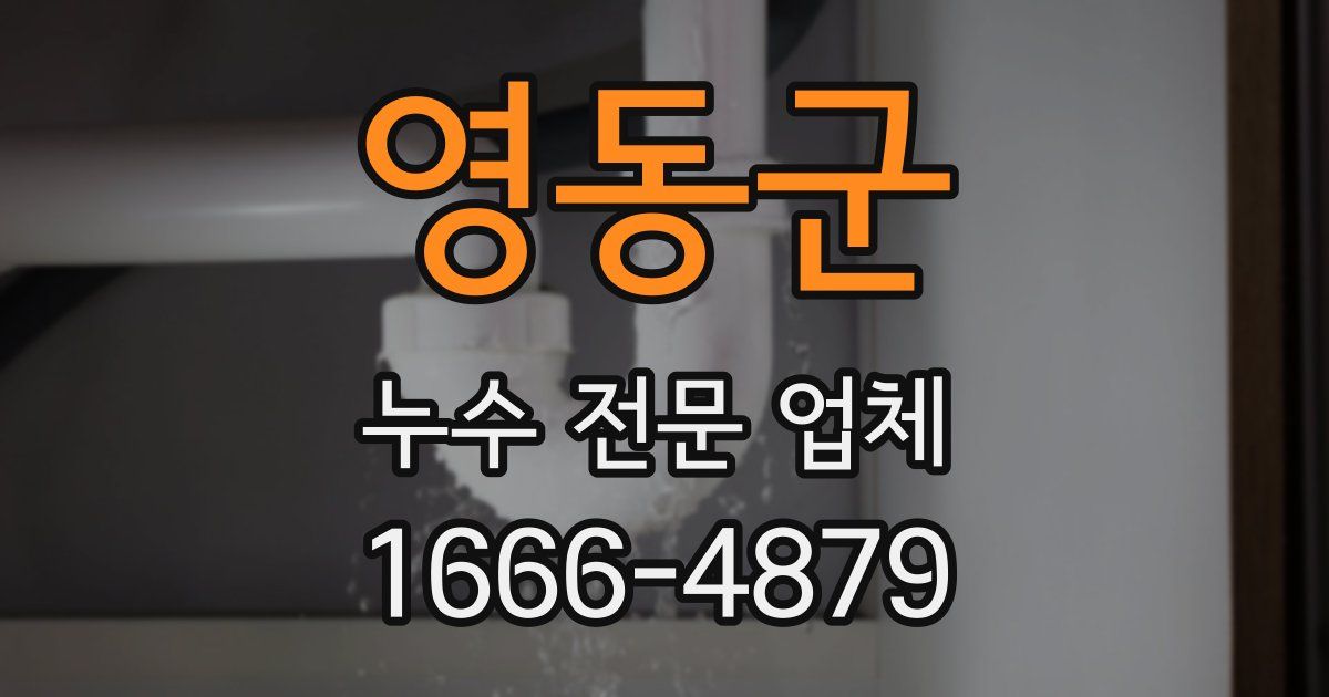 영동군 누수 전문 업체