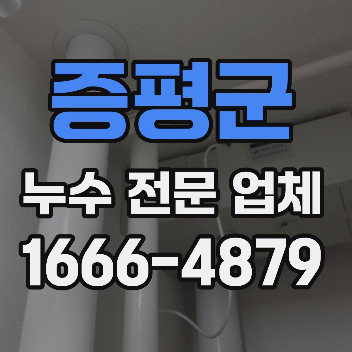 증평군 누수 전문 업체