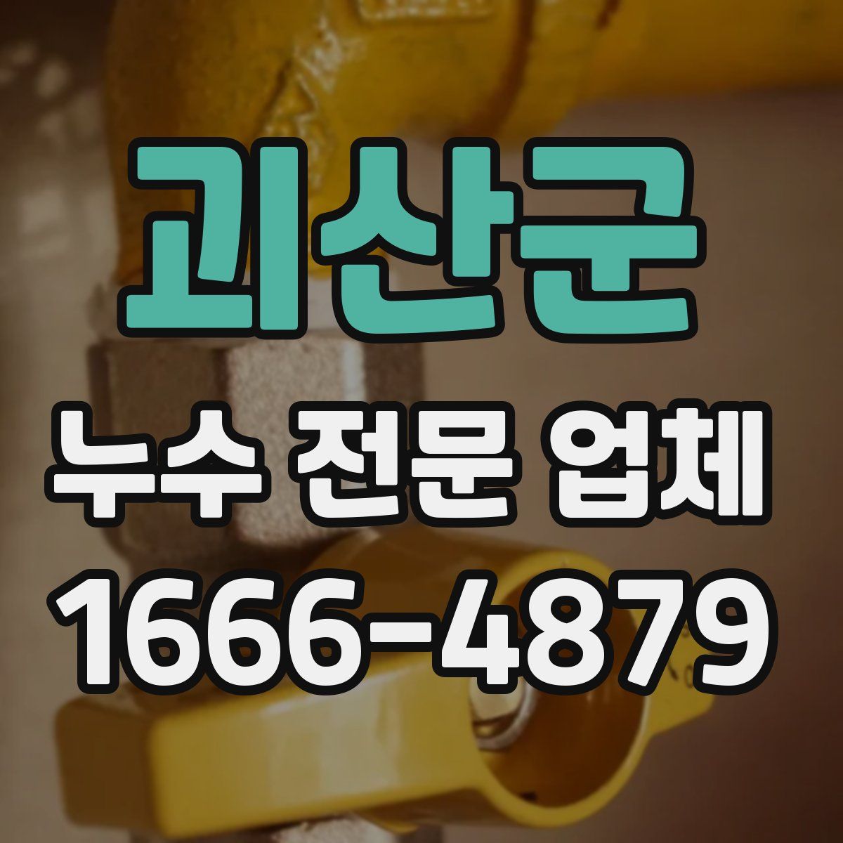 괴산군 누수 전문 업체