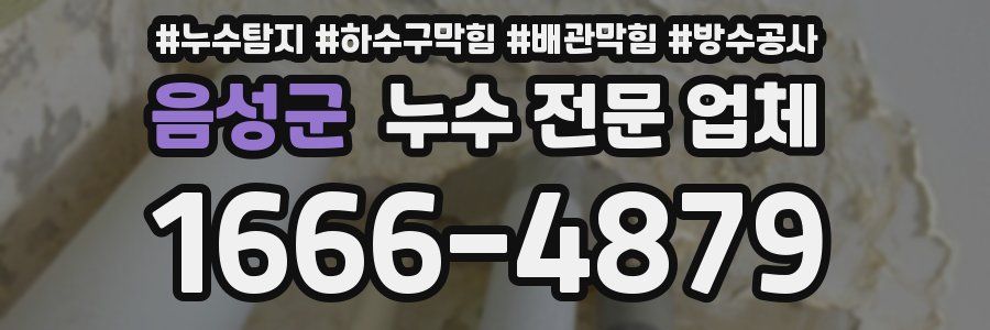 음성군 누수 전문 업체