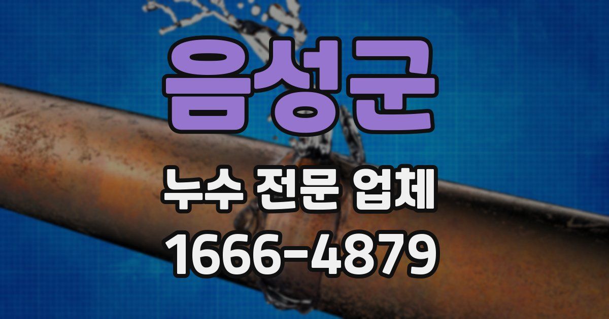 음성군 누수 전문 업체