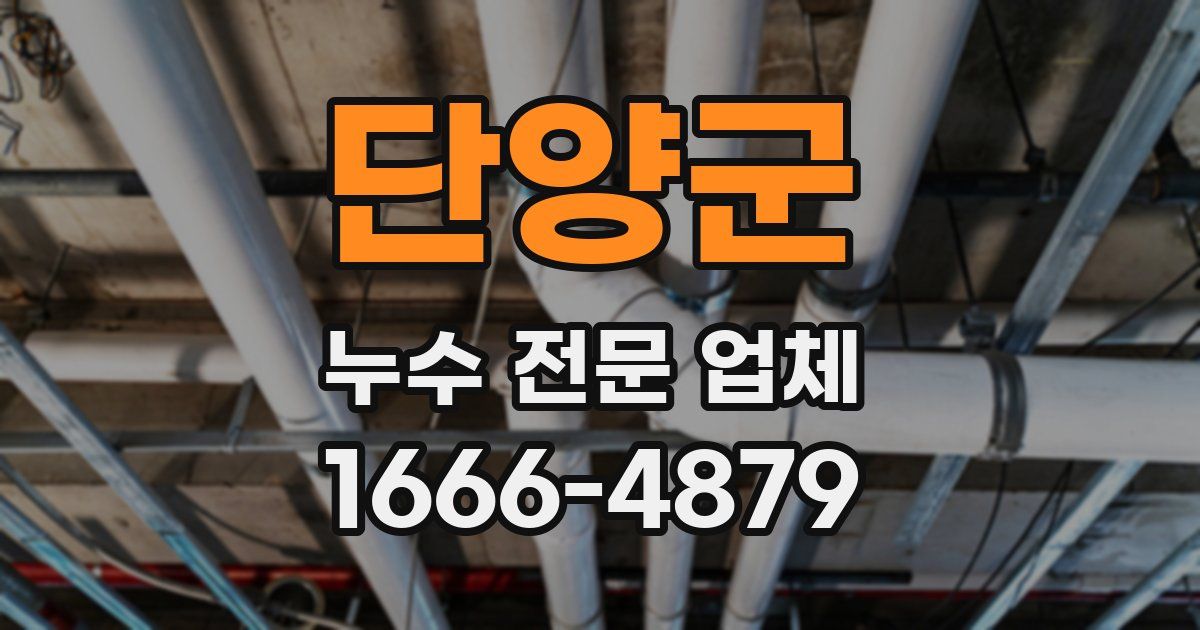 단양군 누수 전문 업체