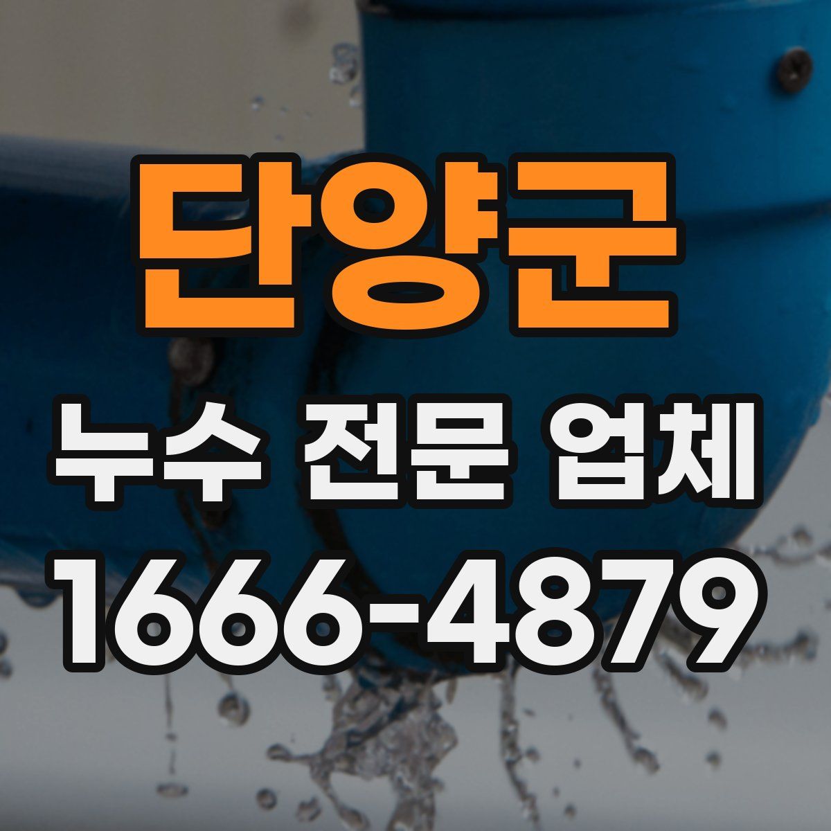 단양군 누수 전문 업체