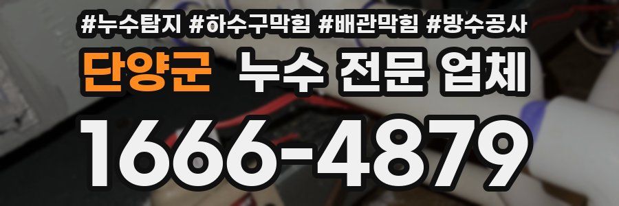단양군 누수 전문 업체