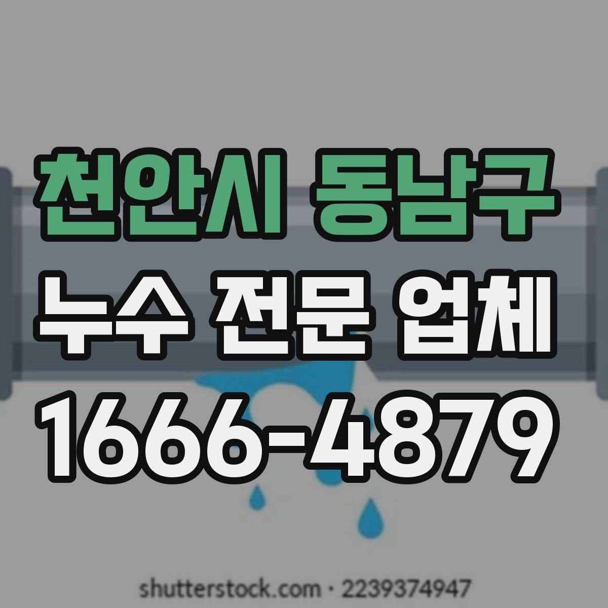 천안시 동남구 누수 전문 업체